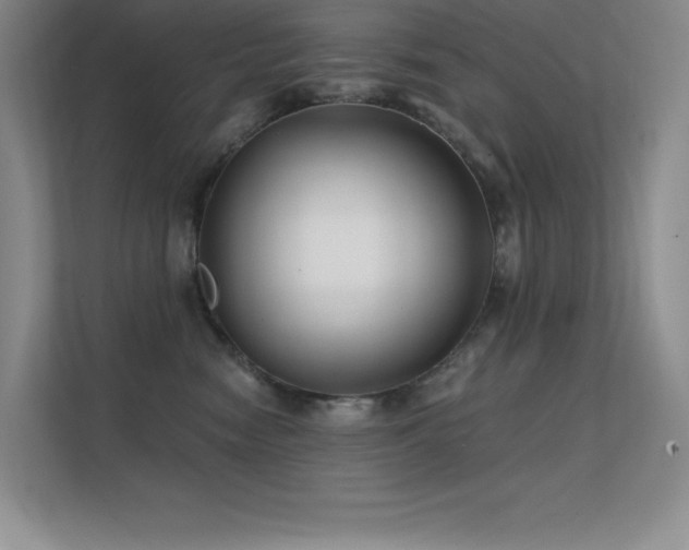 X0000112390474200908131552