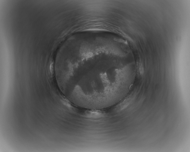 X0000112390475200908131552