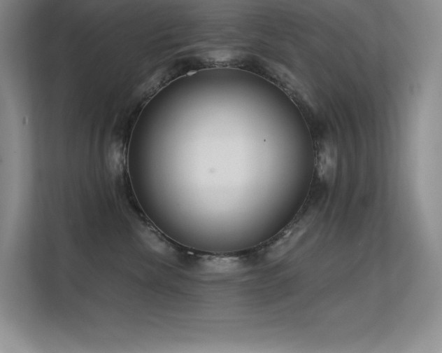 X0000112390476200908131552