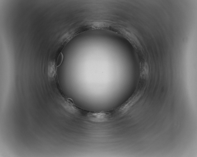 X0000112390478200908131552