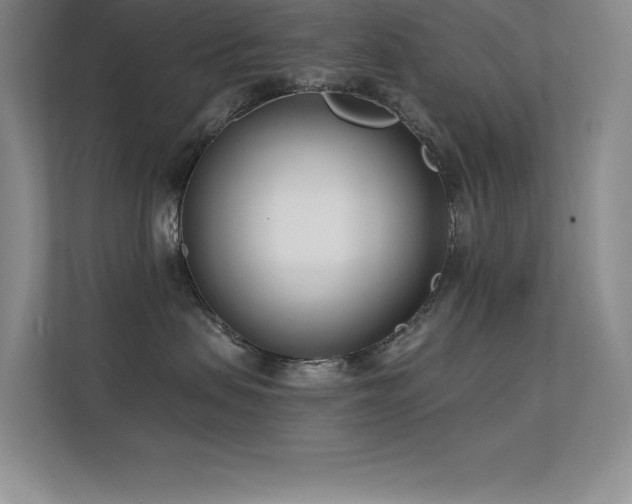 X0000112390479200908131552