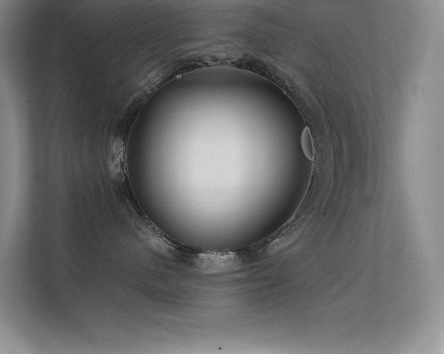 X0000112390480200908131552