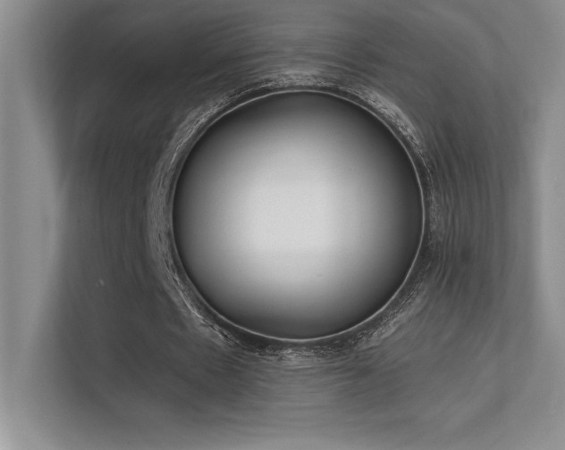 X0000112390481200908131552