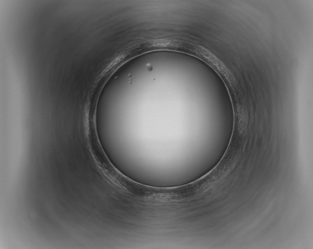 X0000112390482200908131552