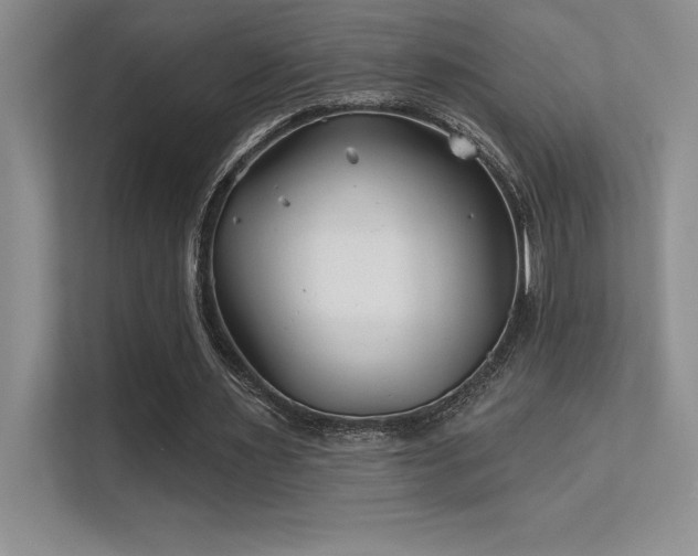 X0000112390483200908131552