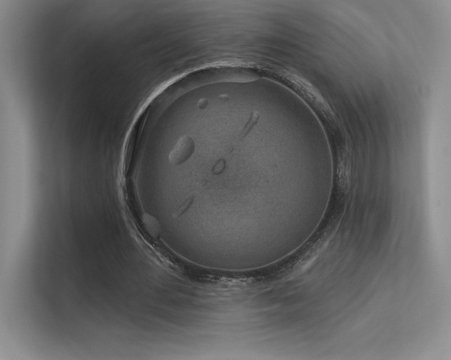 X0000112390484200908131552