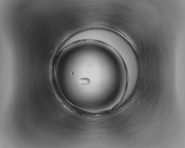 X0000112390485200908131552