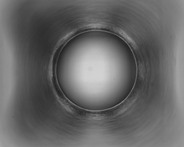 X0000112390486200908131552