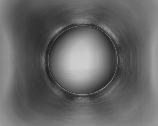 X0000112390487200908131552