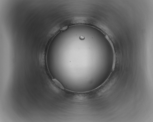 X0000112390489200908131552