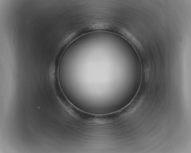 X0000112390490200908131552