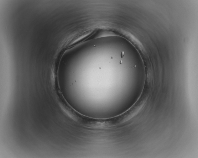 X0000112390493200908131552