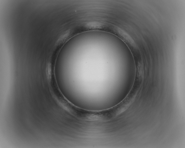 X0000112390494200908131552