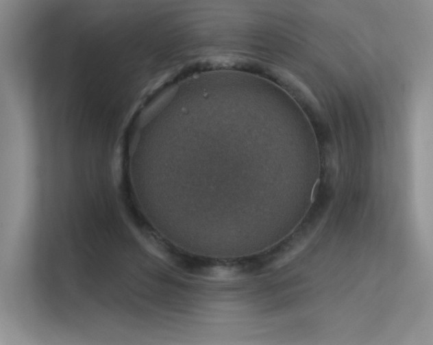 X0000112390496200908131552