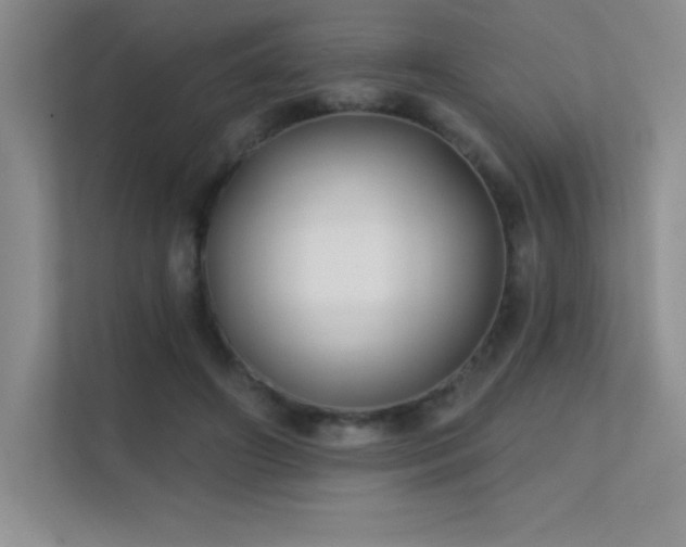 X0000112390498200908131552