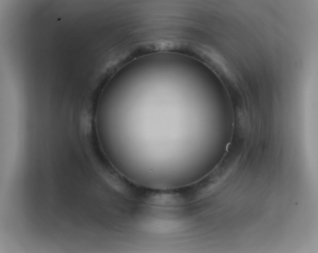 X0000112390499200908131552