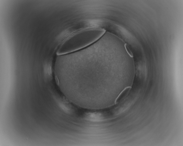 X0000112390500200908131552