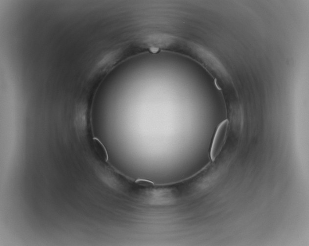 X0000112390501200908131552