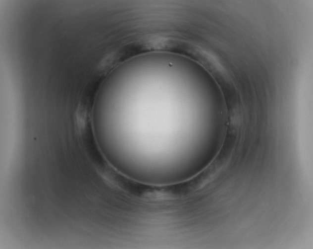 X0000112390503200908131552