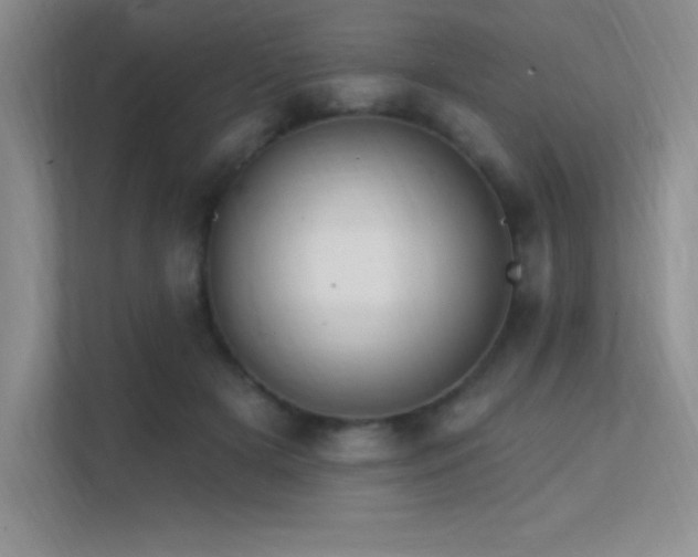 X0000112390505200908131552