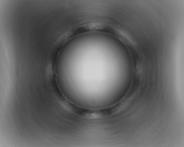 X0000112390506200908131552