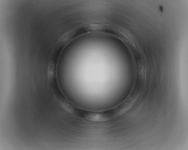 X0000112390507200908131552