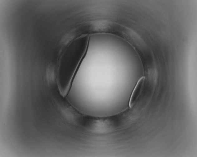 X0000112390508200908131552