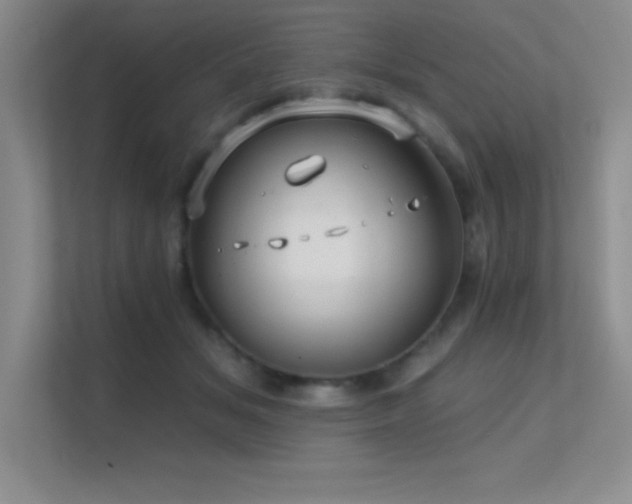 X0000112390509200908131552