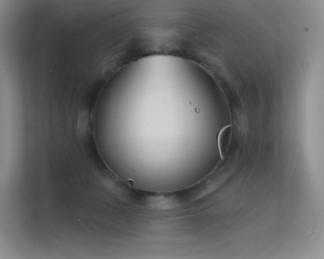 X0000112390511200908131551