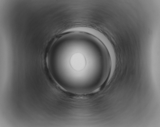 X0000112390512200908131551