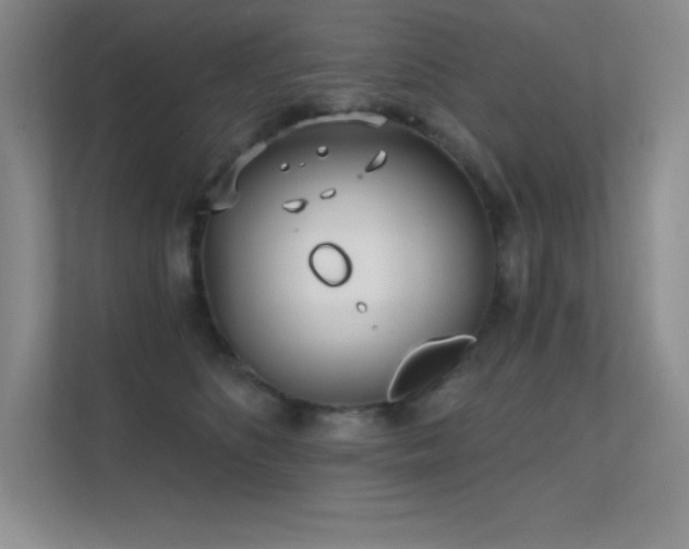 X0000112390516200908131551