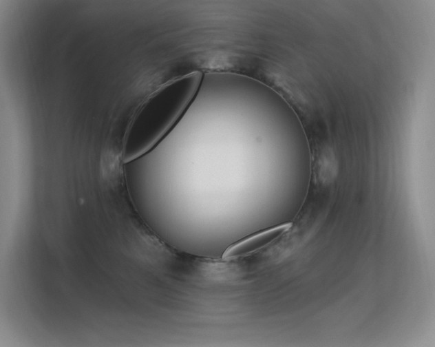 X0000112390521200908131551