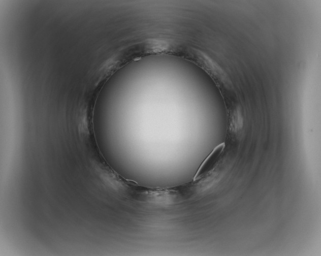 X0000112390524200908131551