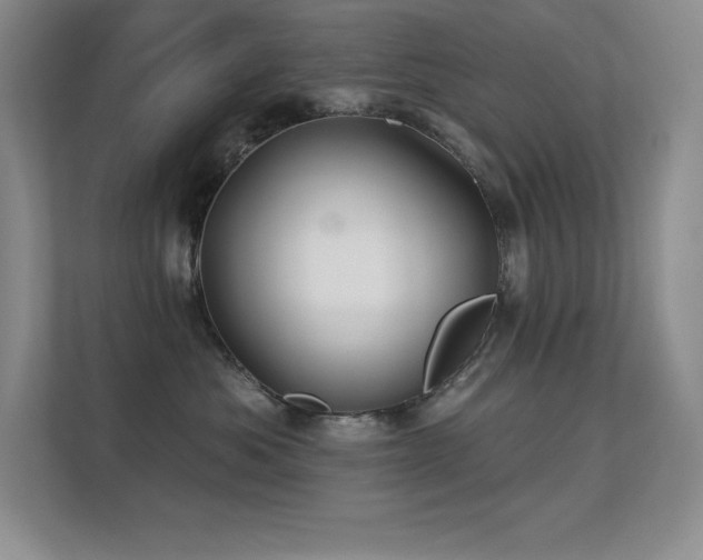 X0000112390525200908131551