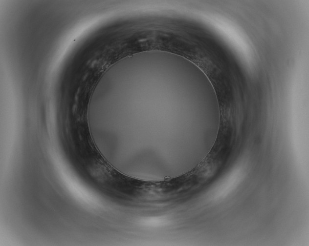 X0000112390526200908131551