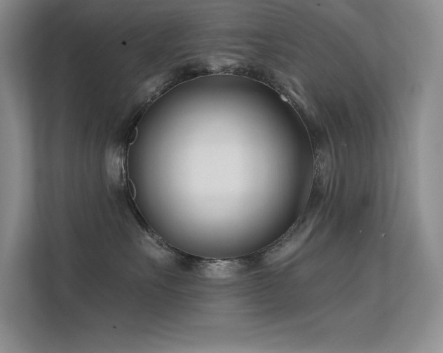 X0000112390527200908131551