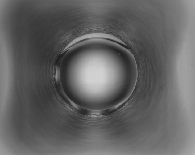 X0000112390528200908131551