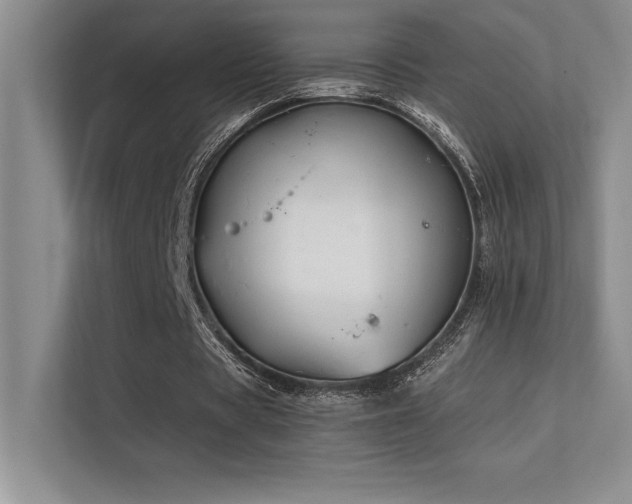 X0000112390529200908131551