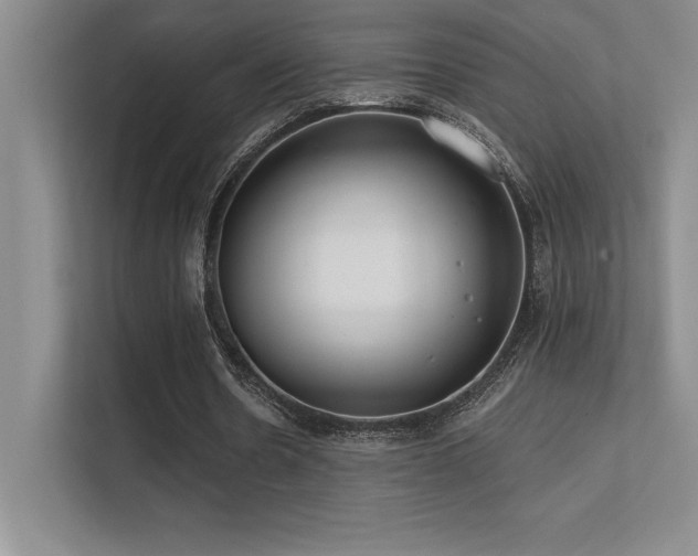 X0000112390530200908131551