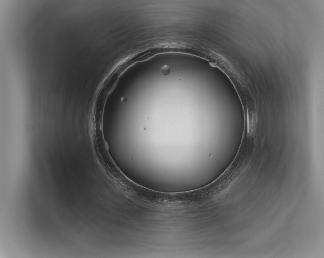 X0000112390531200908131551