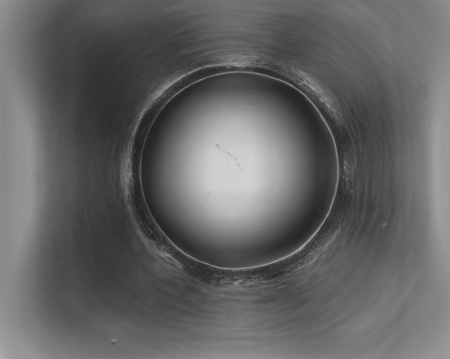 X0000112390532200908131551