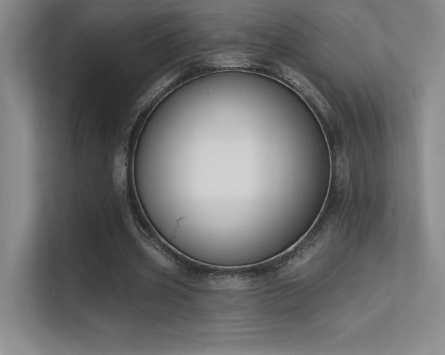 X0000112390533200908131551