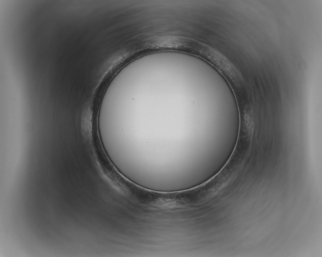 X0000112390534200908131551