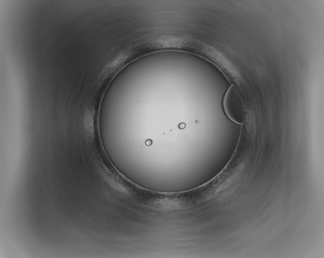 X0000112390537200908131551