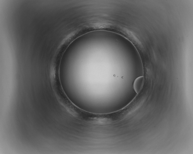 X0000112390539200908131551