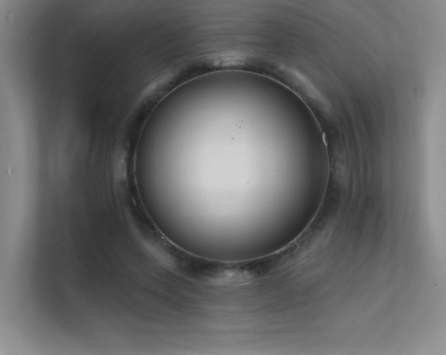 X0000112390543200908131551