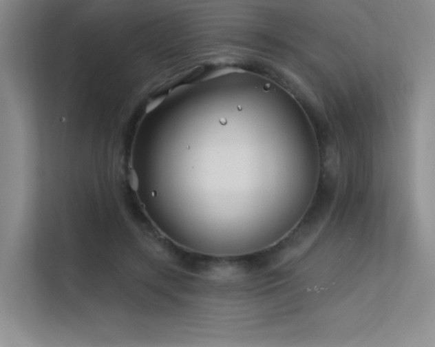 X0000112390547200908131551