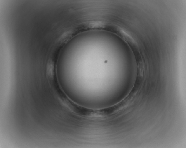 X0000112390550200908131551