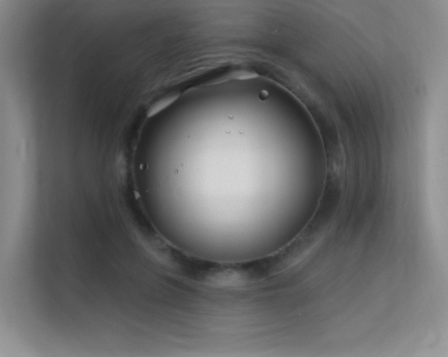 X0000112390551200908131551