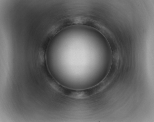 X0000112390554200908131551